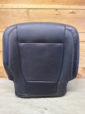 Gl3z1662900ak Ford 2015-16 F150 Crew Cab Lariat Front Passenger Right Side Seat Lower Cushion