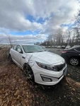 2014-2016 Kia Optima 776 Passenger Front Seat Korea Built Cloth Oem. Fixed Price $121.75.