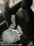 Rh Blk Clo Man Seat Assy Oem 20-21 Nissan Versa. Fixed Price $175.00.