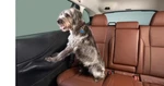 2020-2025 Subaru Outback Pet Rear Door Protector SOA567R000 Genuine Oem Factory. Fixed Price $184.99.