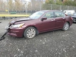 Driver Front Seat Bucket Leather Electric Fits 11-12 Accord 2278644. Fixed Price $645.38.