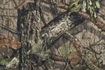 Covercraft SSC2459CAMB Carhartt Mossy Oak Camo Seatsaver Front Row Custom Fit. Fixed Price $99.95.