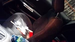 Passenger Front Seat Bucket Coupe Cloth Manual Fits 18-22 Mustang 5190236. Fixed Price $523.00.