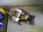 Passenger Front Male Seat Belt Lexus Ls 400 95 96 97. Fixed Price $44.99.