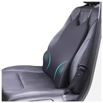 Lumbar Support Pillow For Car - Back Medium To Large Vehic. Fixed Price $40.99.